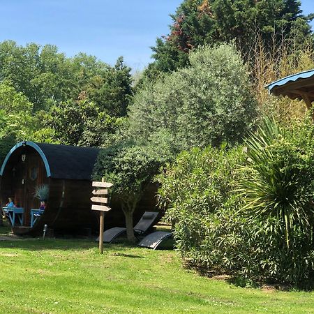 La Bastide De Negra Bed and Breakfast Montesquieu-Lauragais Εξωτερικό φωτογραφία
