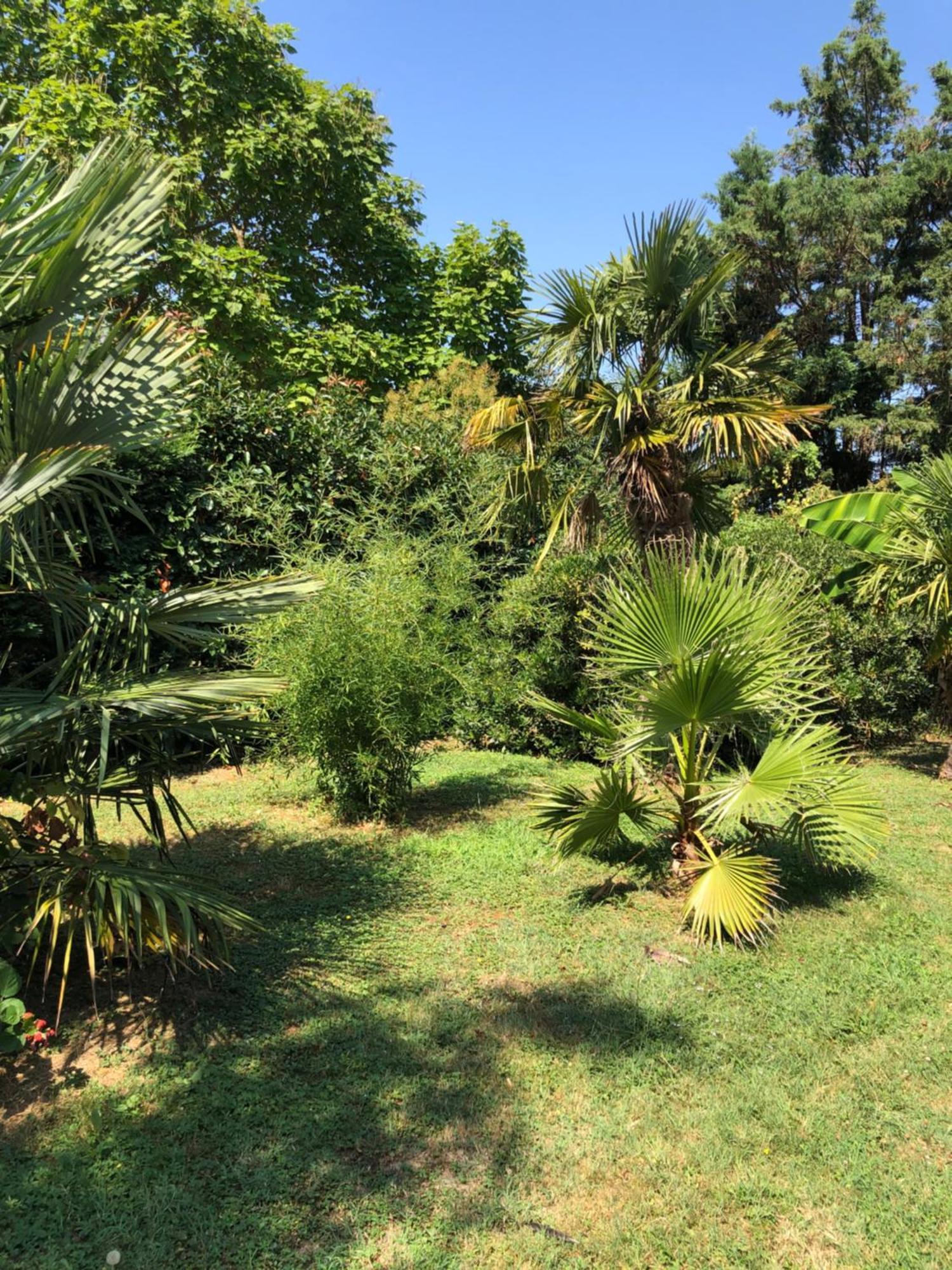 La Bastide De Negra Bed and Breakfast Montesquieu-Lauragais Εξωτερικό φωτογραφία