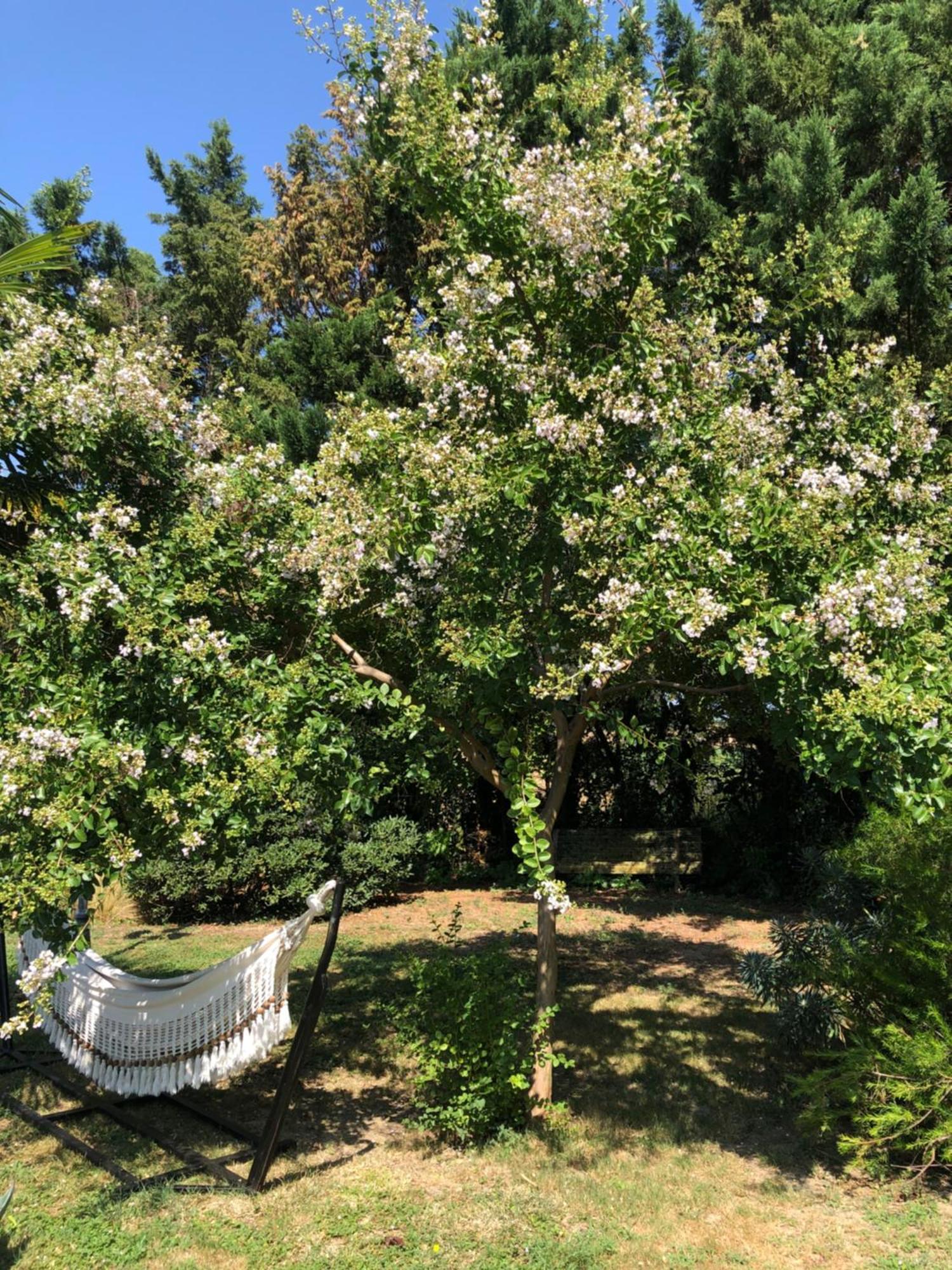 La Bastide De Negra Bed and Breakfast Montesquieu-Lauragais Εξωτερικό φωτογραφία