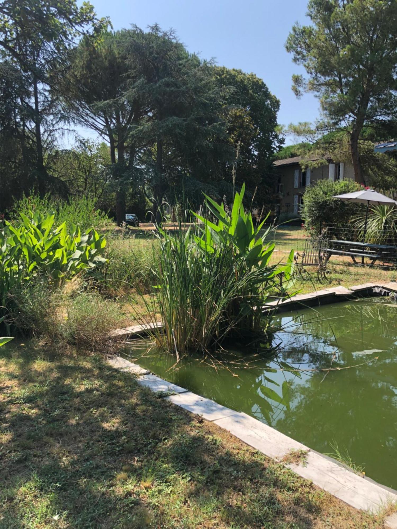 La Bastide De Negra Bed and Breakfast Montesquieu-Lauragais Εξωτερικό φωτογραφία