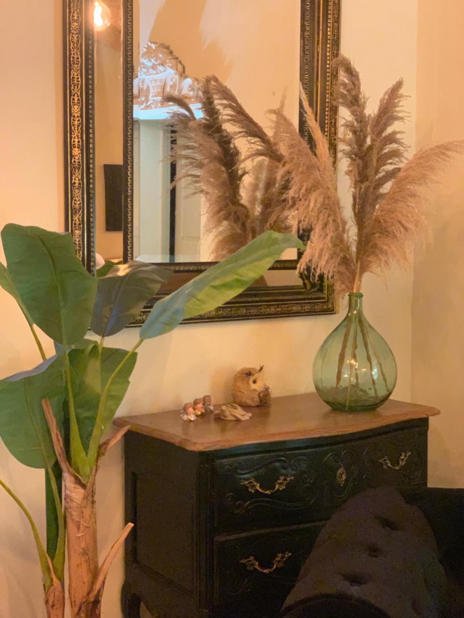 La Bastide De Negra Bed and Breakfast Montesquieu-Lauragais Εξωτερικό φωτογραφία