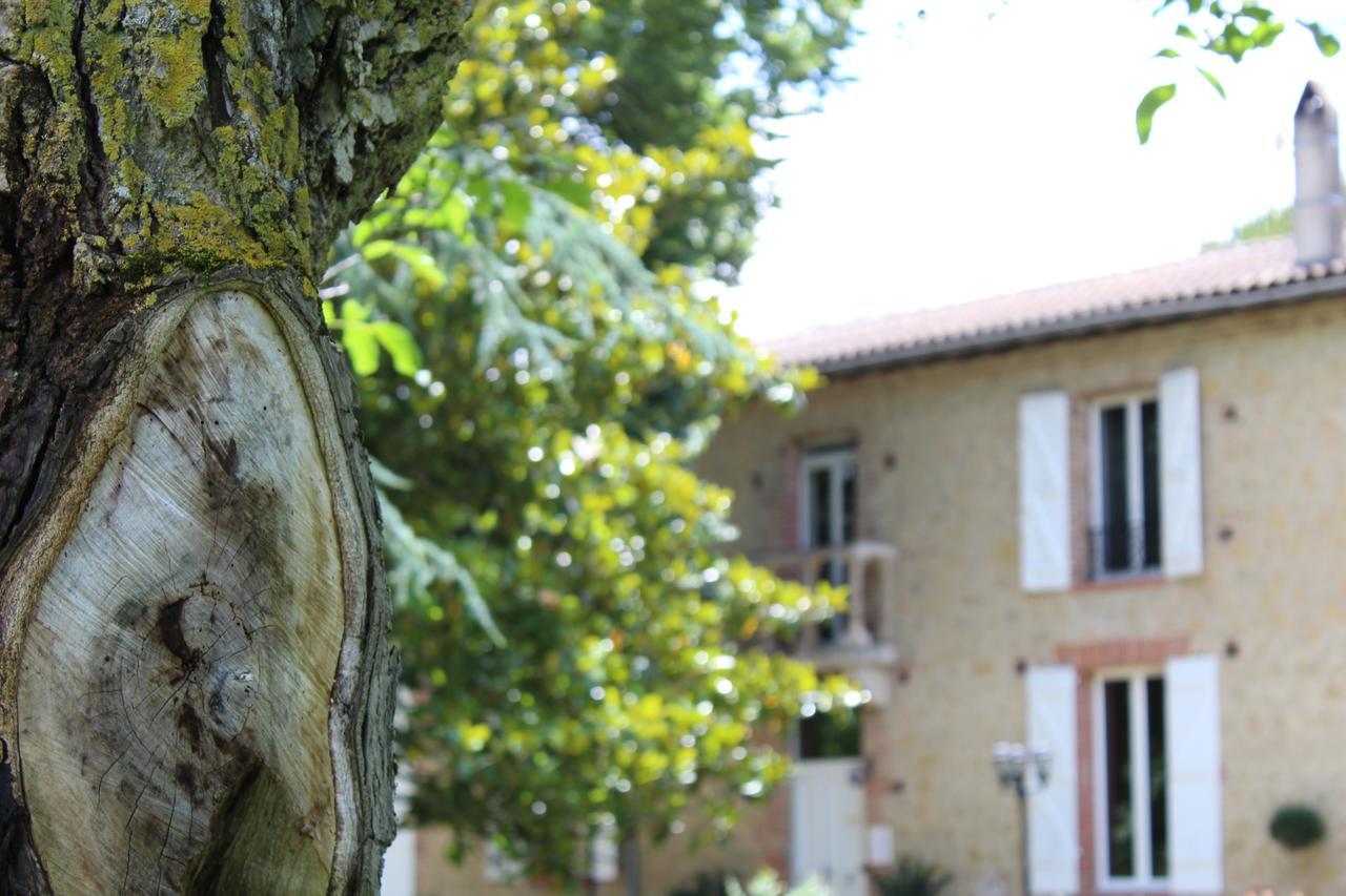 La Bastide De Negra Bed and Breakfast Montesquieu-Lauragais Εξωτερικό φωτογραφία