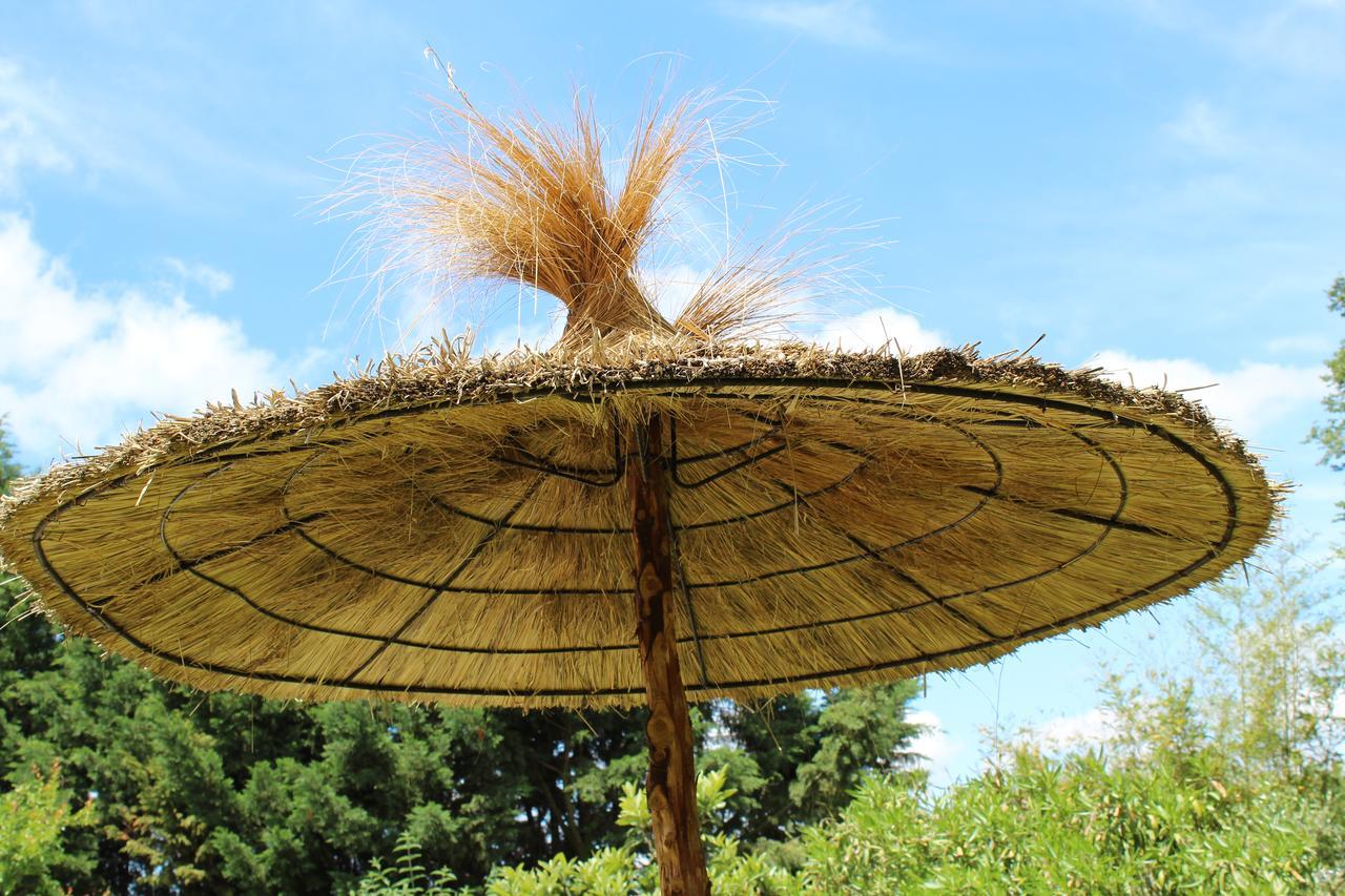 La Bastide De Negra Bed and Breakfast Montesquieu-Lauragais Εξωτερικό φωτογραφία